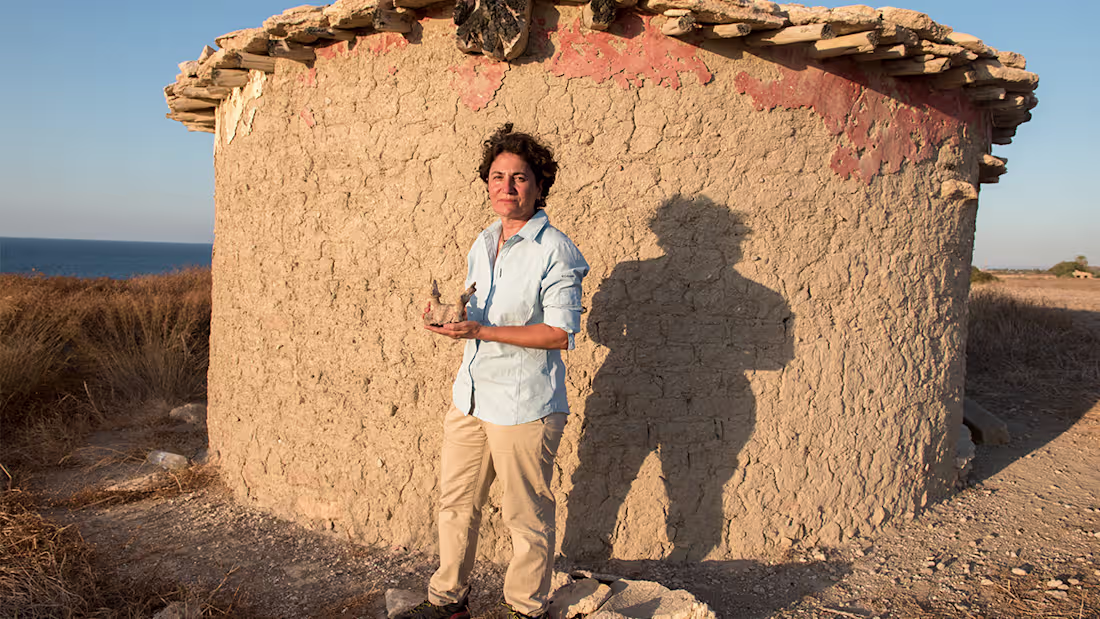 Cover image for Studies of world's first farmers hampered by political stalemate