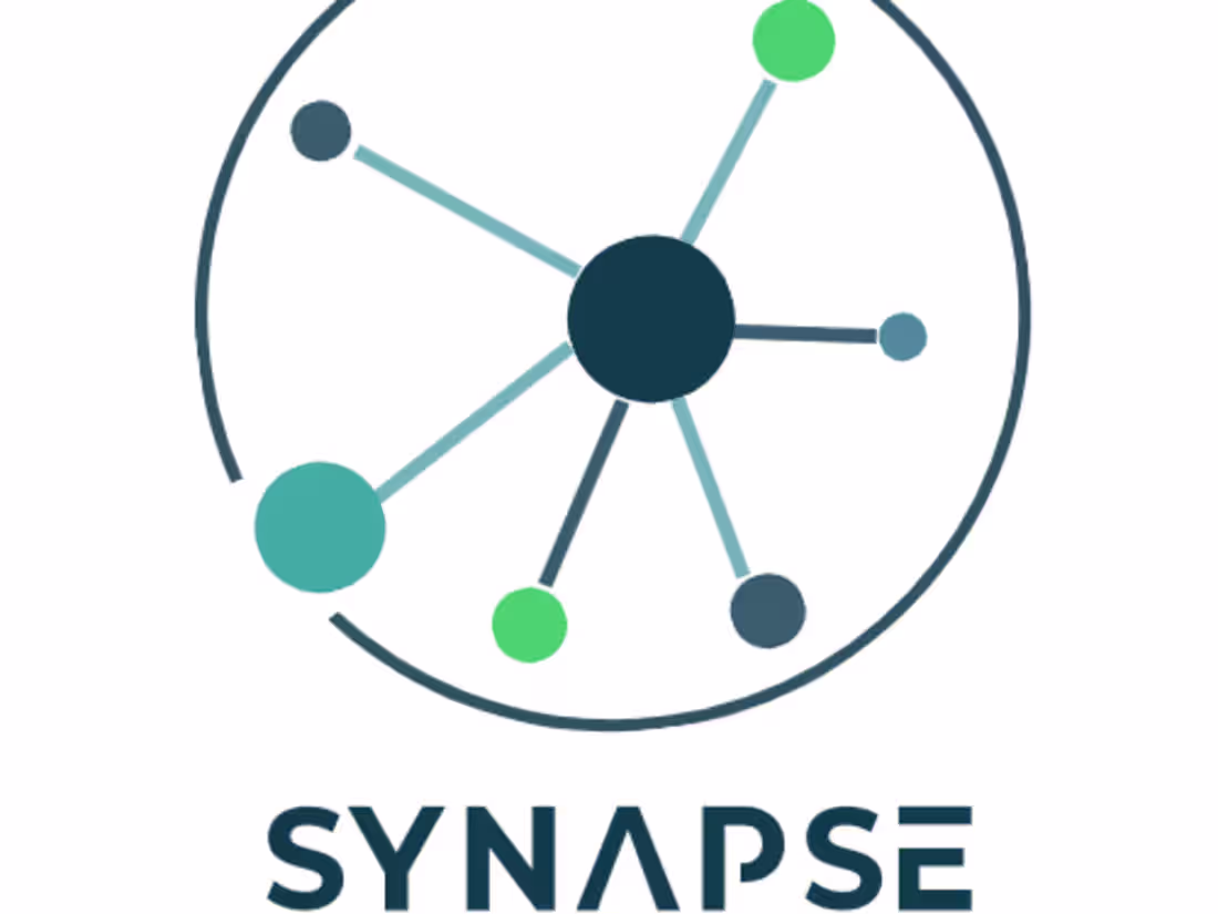 Cover image for Synapse Accounting Group - SEO & Website Revision