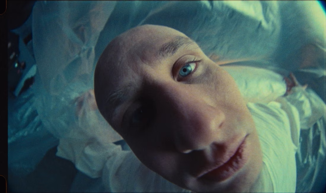 Cover image for LAMODA