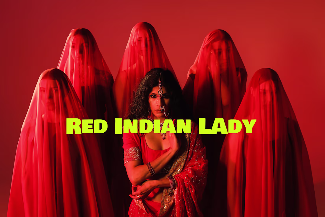 Cover image for An Indian Lady - Fashion Film