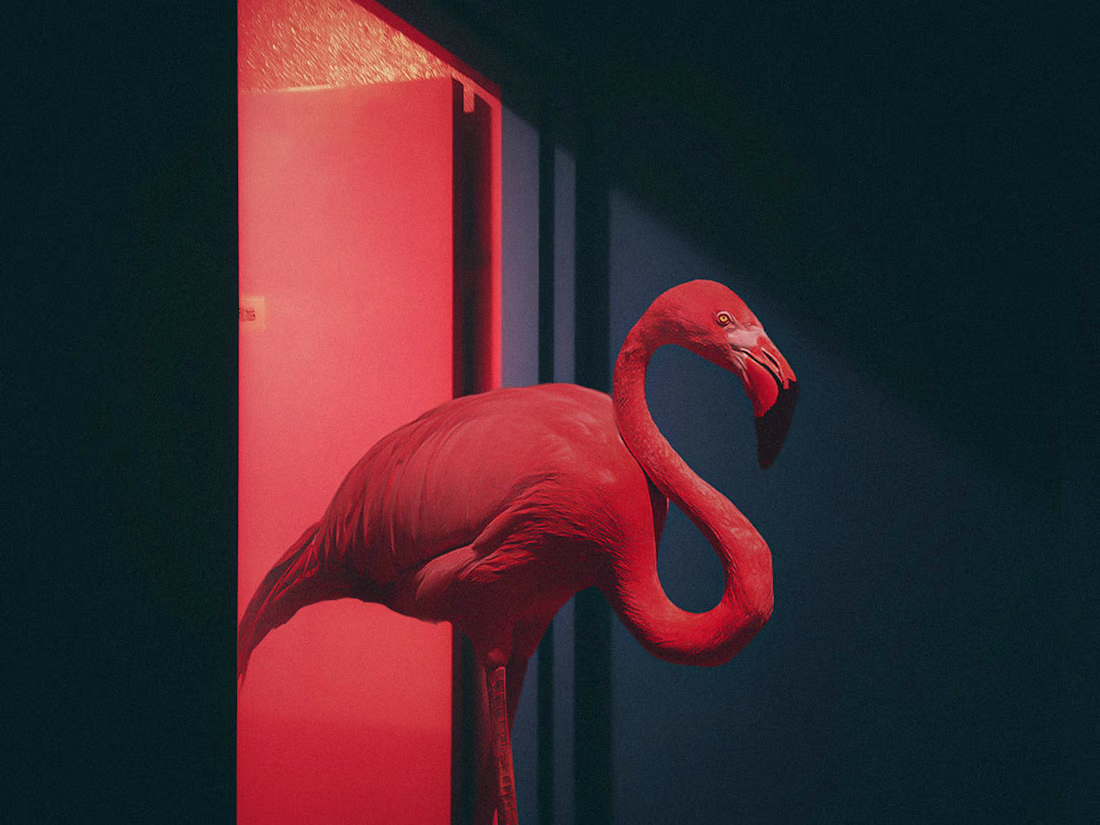 Cover image for Conceptual