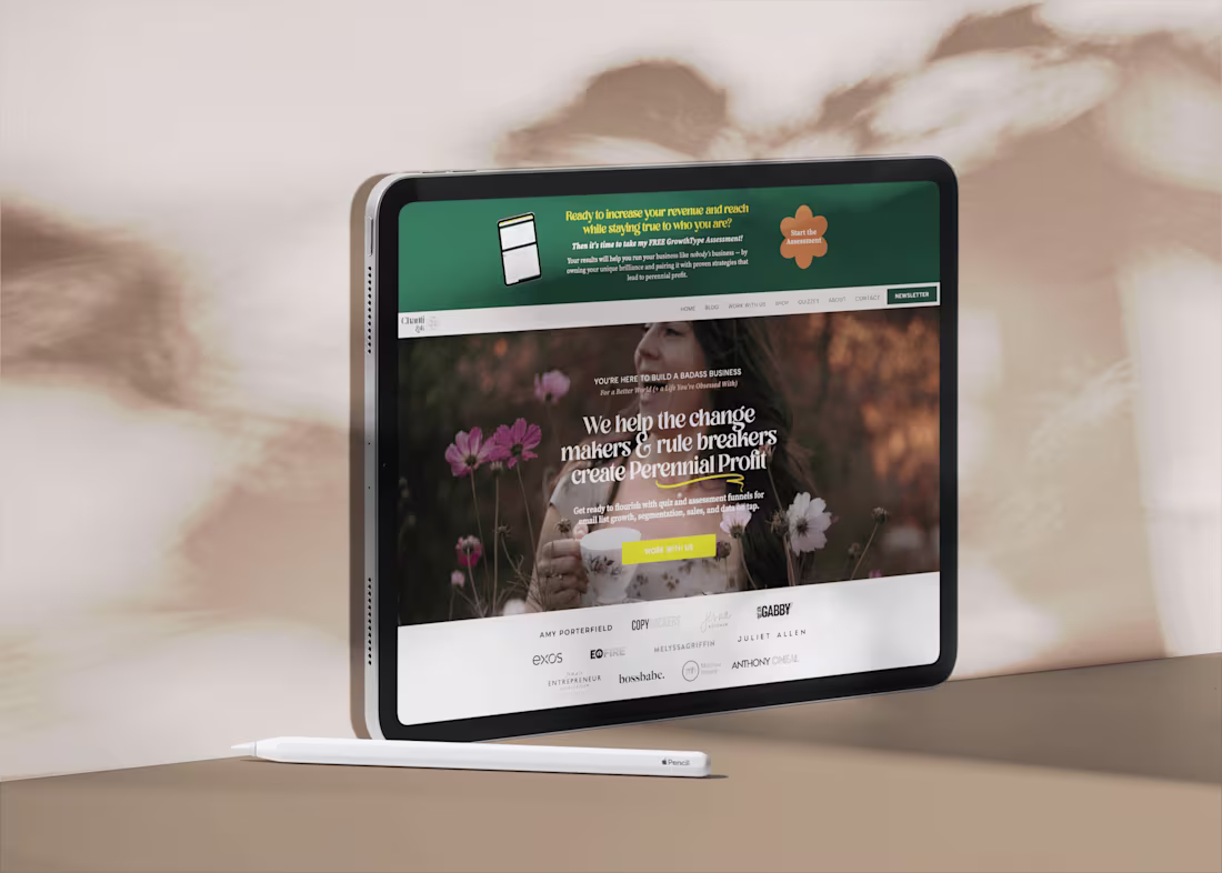 Cover image for Brand, marketing, and web design for an online entrepreneur