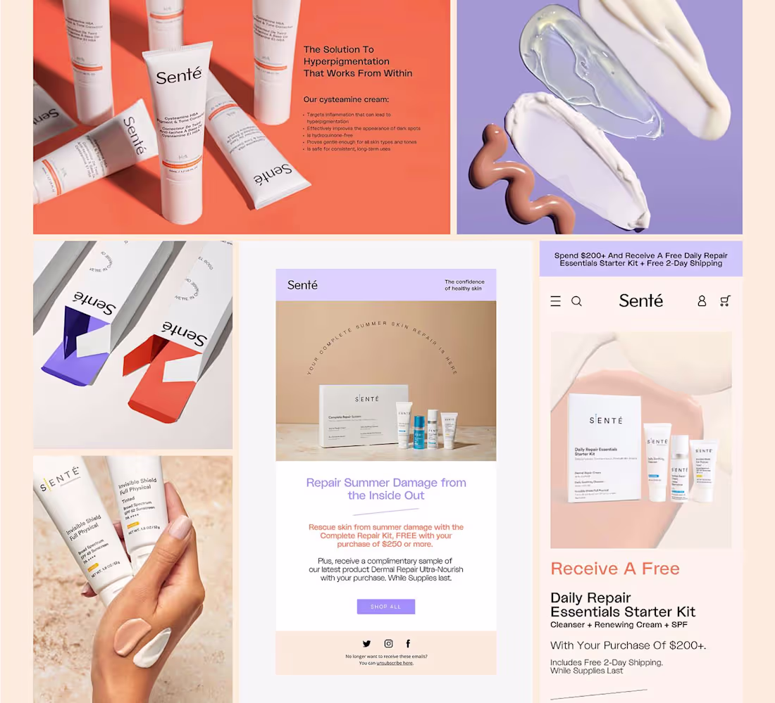 Cover image for Marketing Collateral and Web Design for Sente