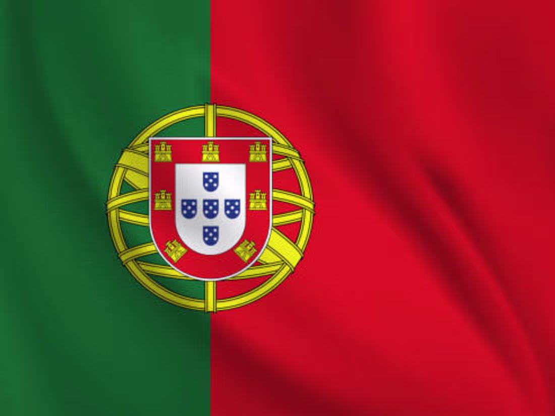 Cover image for Translator: Portuguese