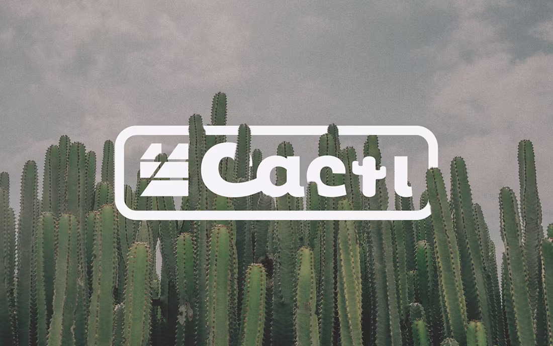 Cover image for Cacti Creative Co. Brand Identity on Behance