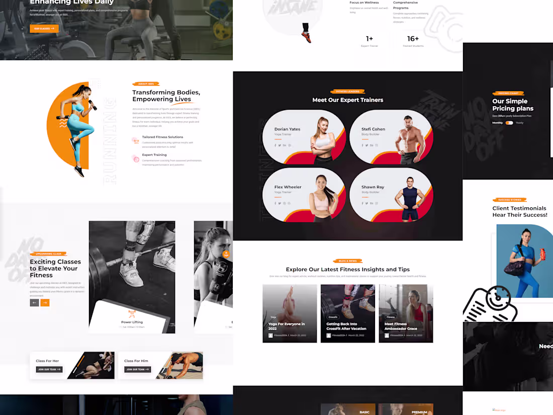 Cover image for Institute of Sport & Exercise Science (ISES) Website