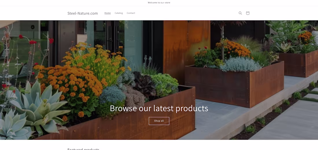 Cover image for Shopify Store