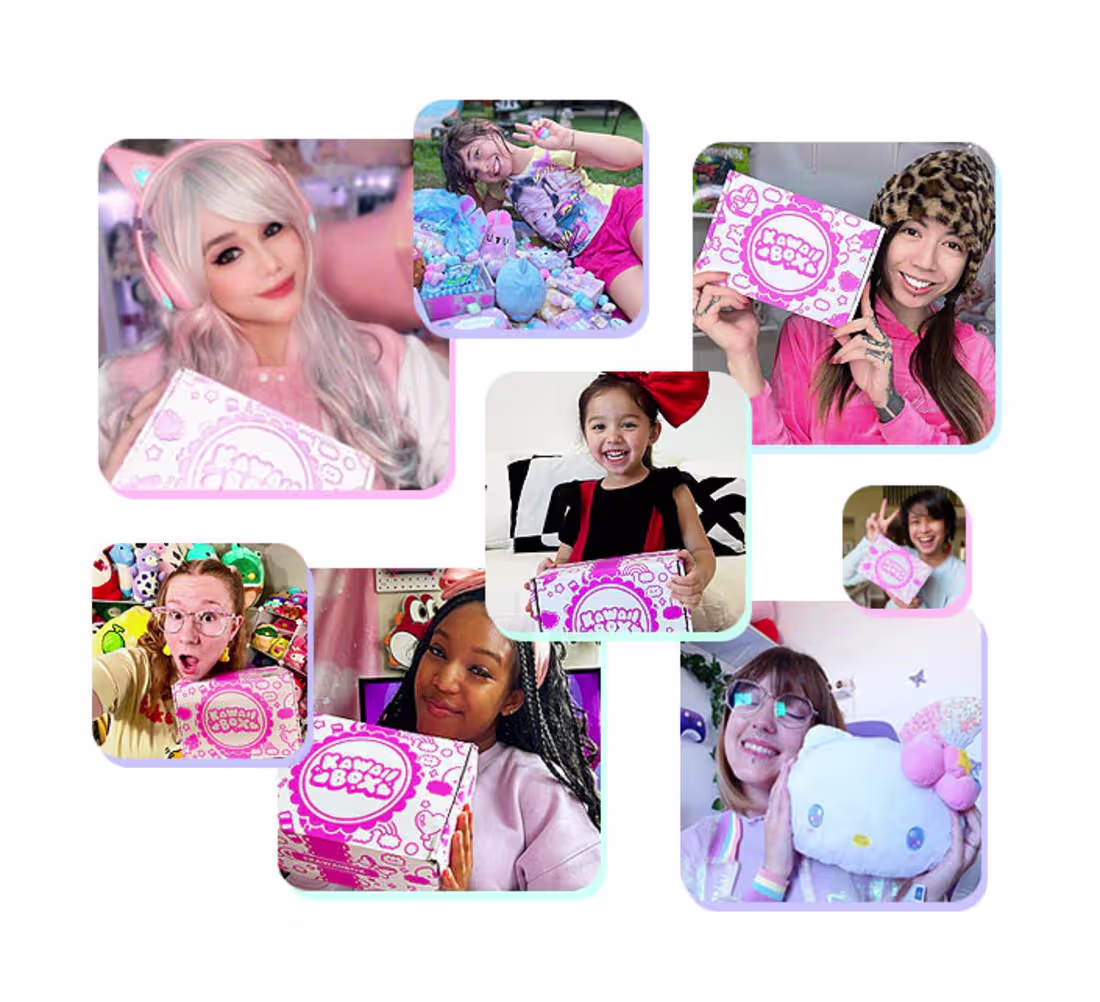 Cover image for E-commerce Development for KawaiiBox.com (http://KawaiiBox.com)