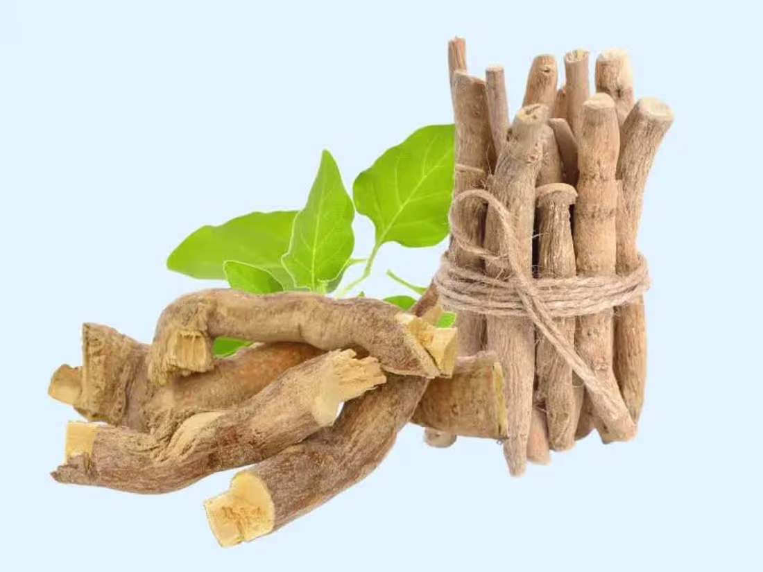 Cover image for Tongkat ali vs. Ashwagandha: Benefits and Uses - Healthplugged