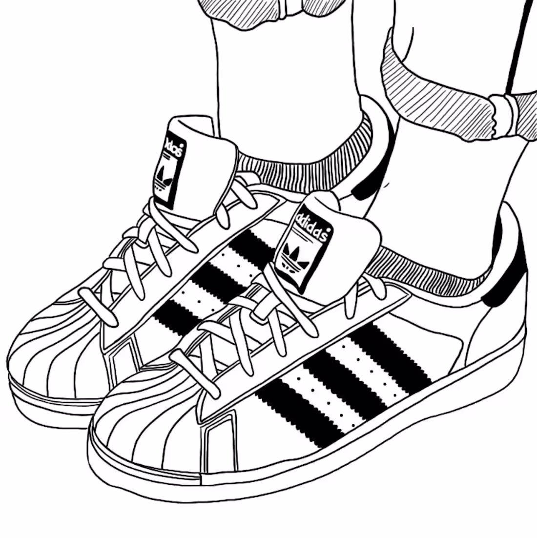 Cover image for Adidas Superstar Line Drawing Illustration