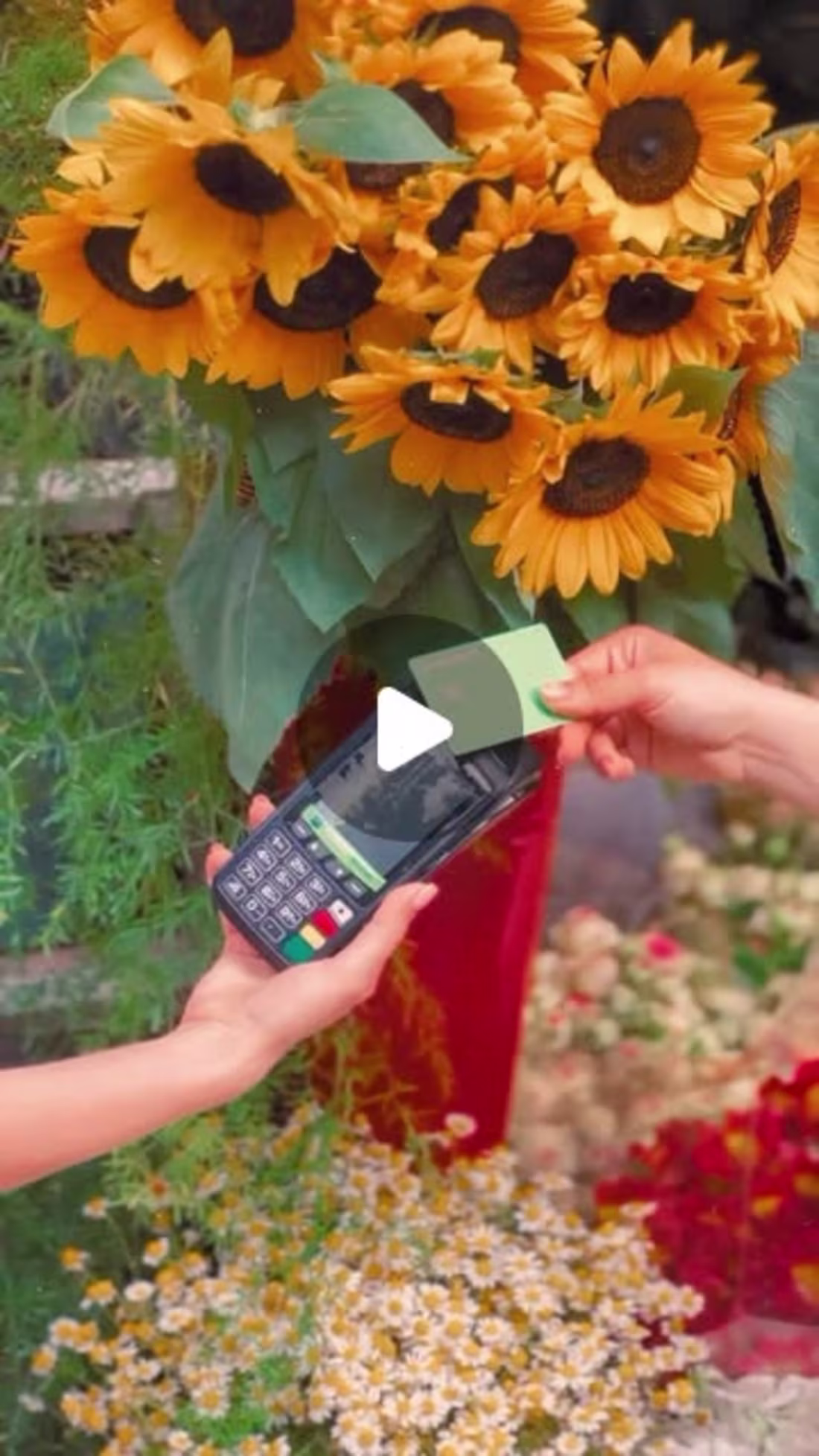 Cover image for Ameriabank Visa Card Promotion