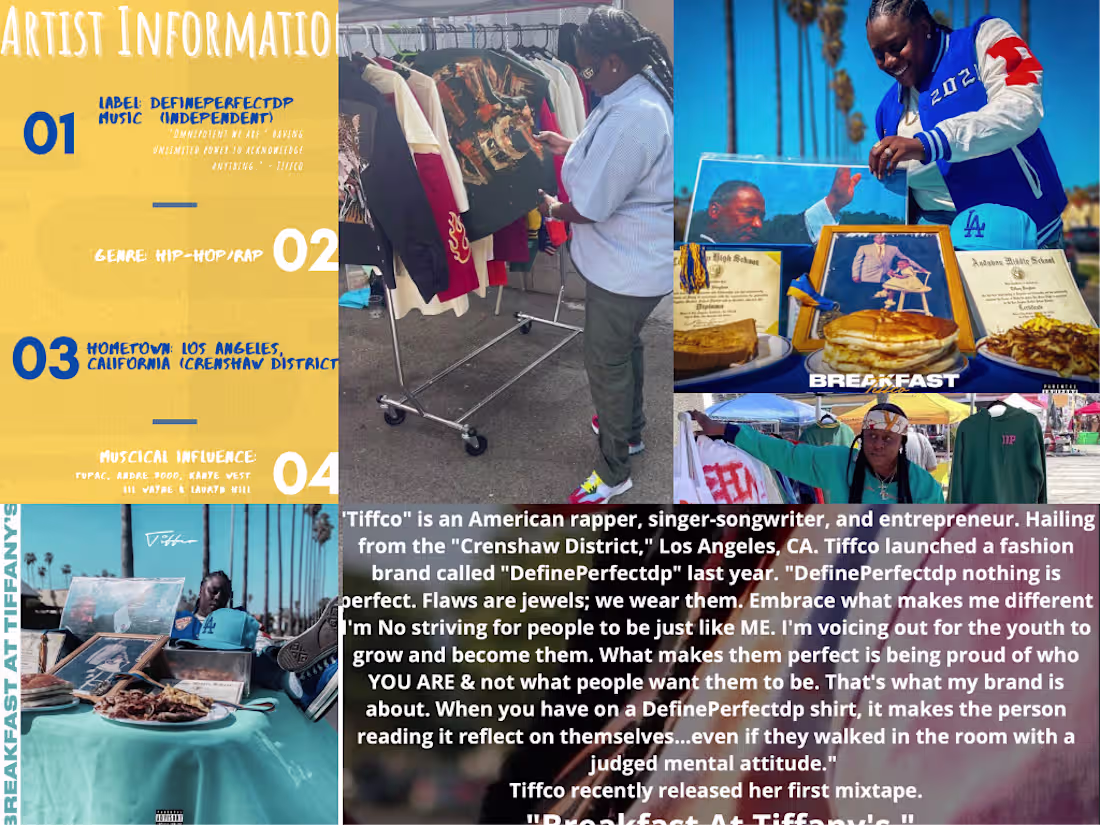 Cover image for Artist Electronic Press Kit