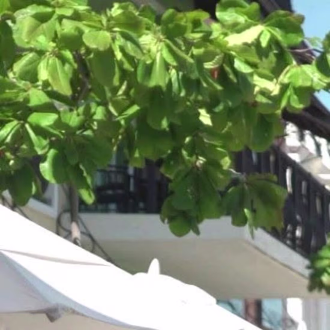 Cover image for Advertisements Edited to Popular Music