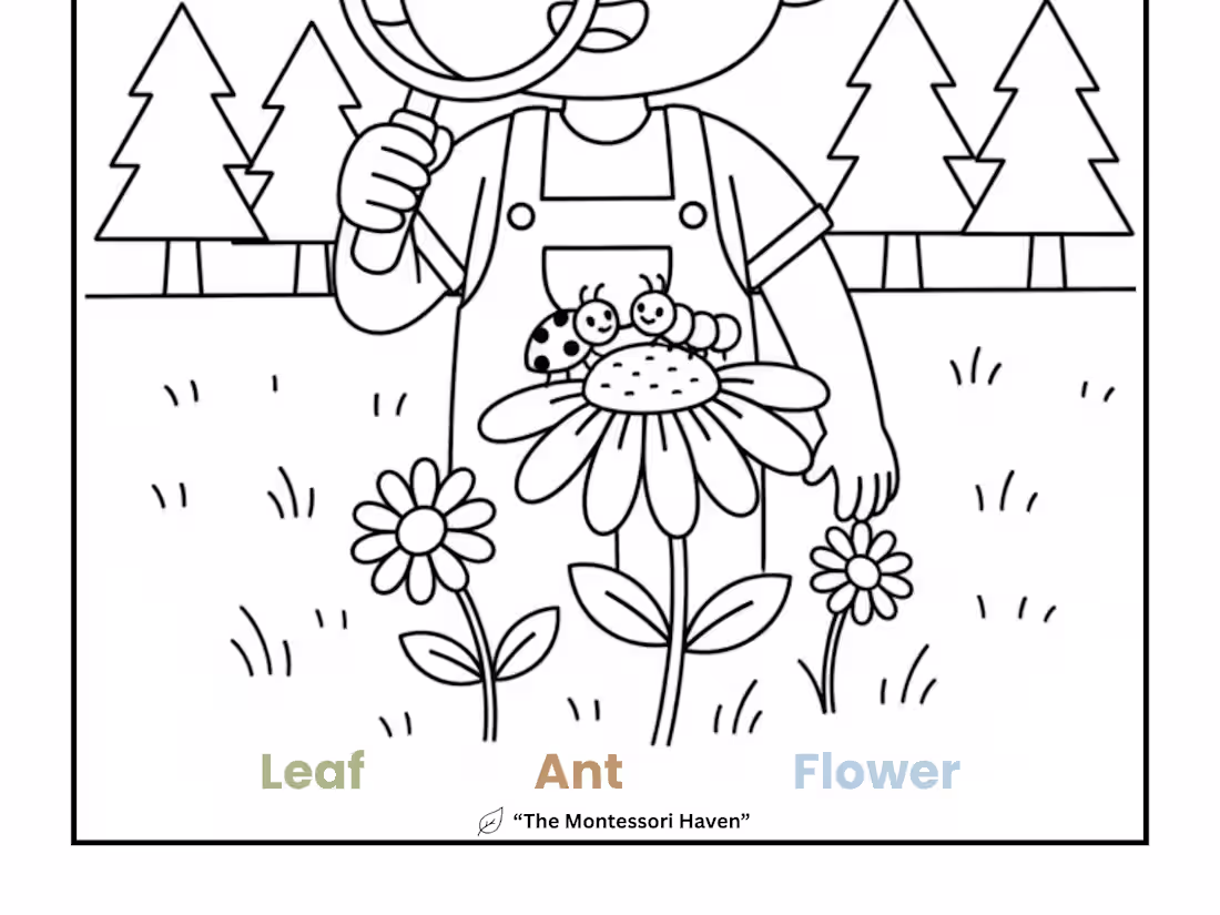 Cover image for I make a coloring pages for Amazon kdp and etsy