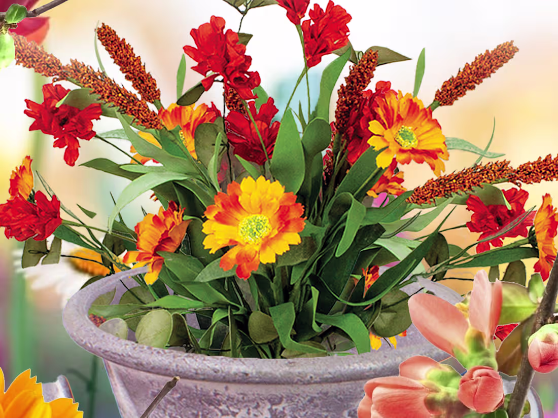 Cover image for Graphic Designer for you dreams 