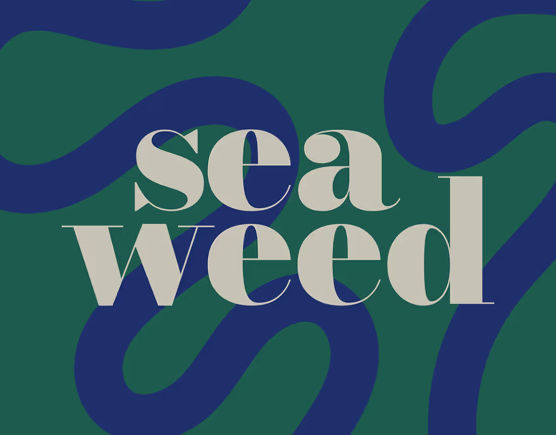 Cover image for Seaweed