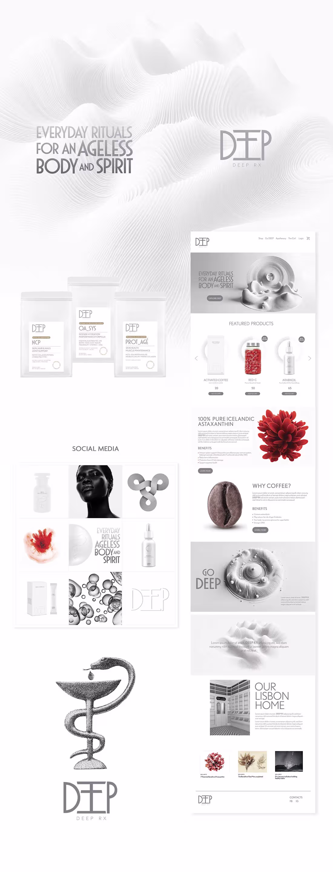 Cover image for CONCEPT DEVELOPED WITH PAM BRISTOW,LLC