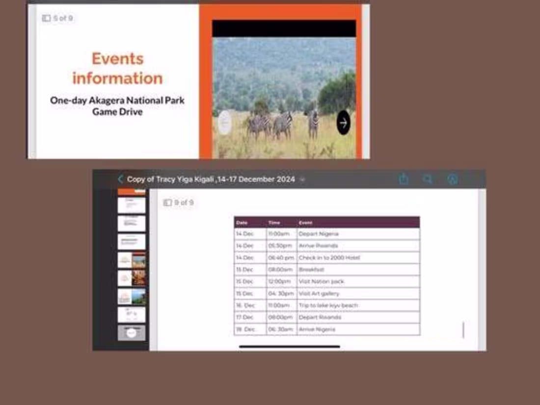 Cover image for Travel plans 