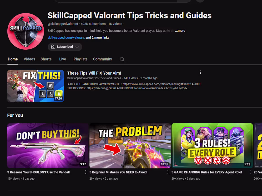 Cover image for Piecer/Video Editor/Researcher