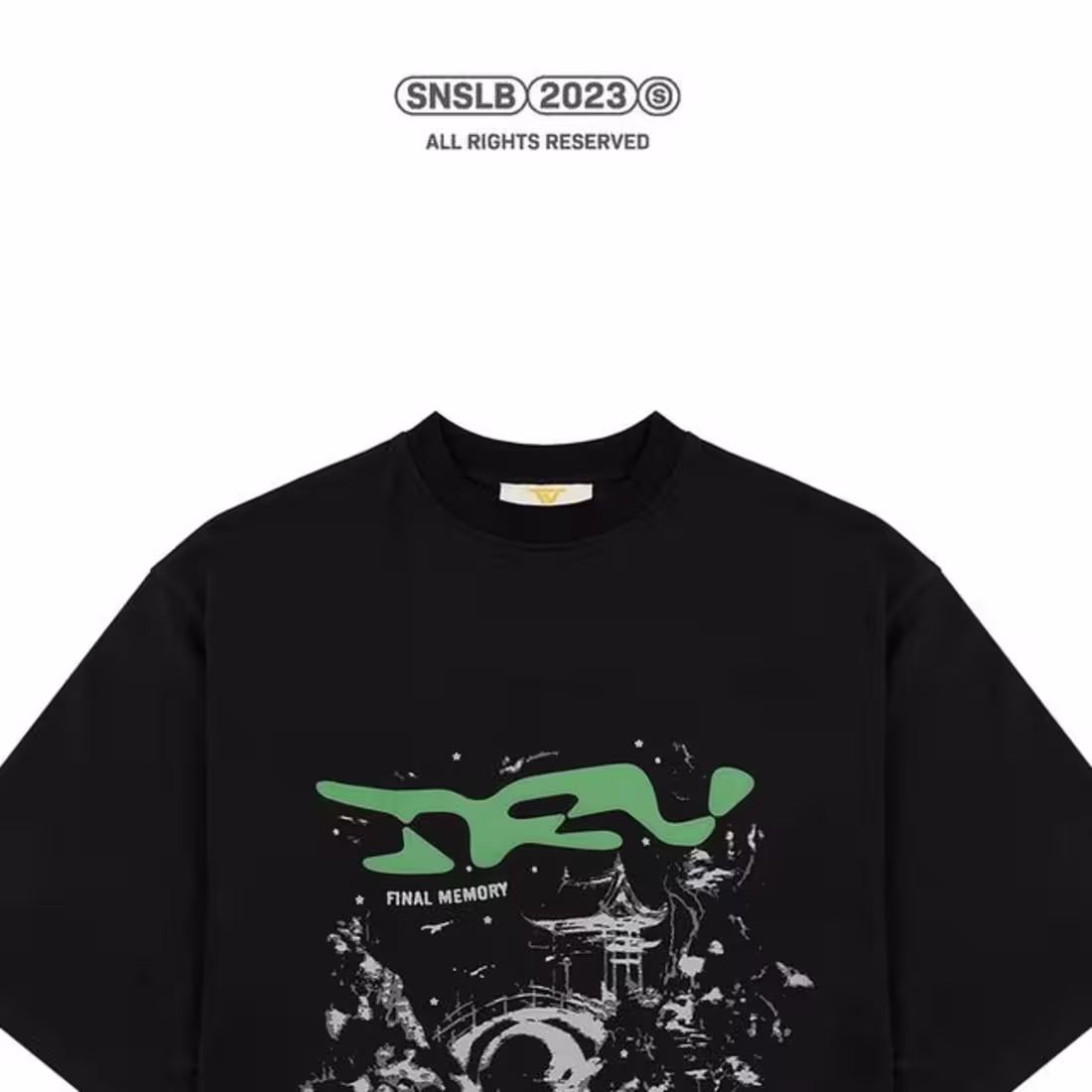 Cover image for Print Graphics for Trendt Vision