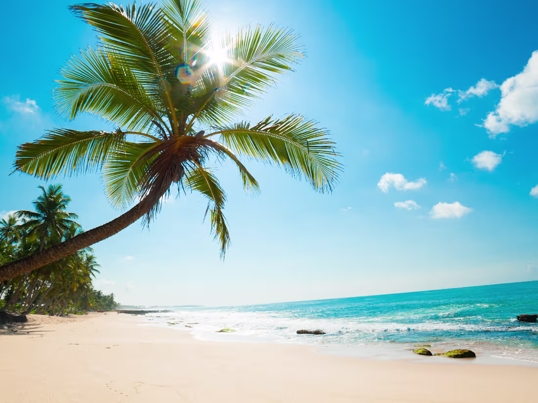 Cover image for Florida Summary 2022