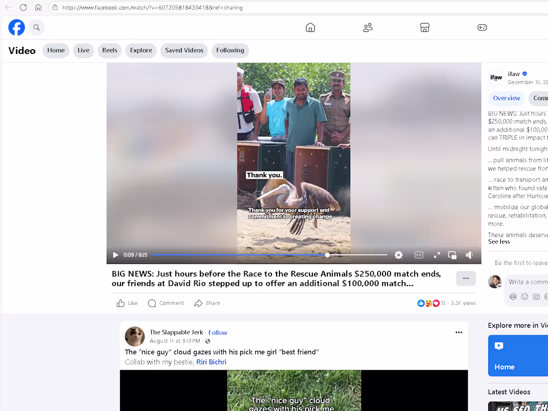 Cover image for IFAW 2024 Fundraising Promo (Vertical Disaster Relief Version)