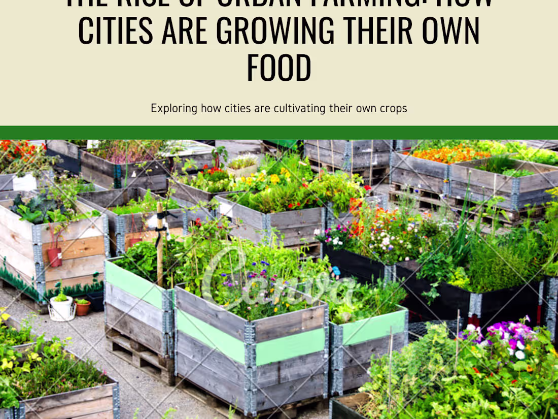 Cover image for The Rise of Urban Farming: How Cities are Growing Their Own Food
