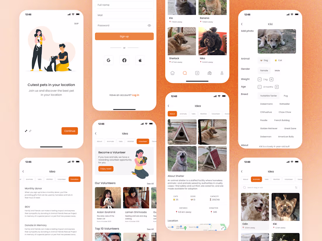 Cover image for Lucky Paws (Pet Adoption)