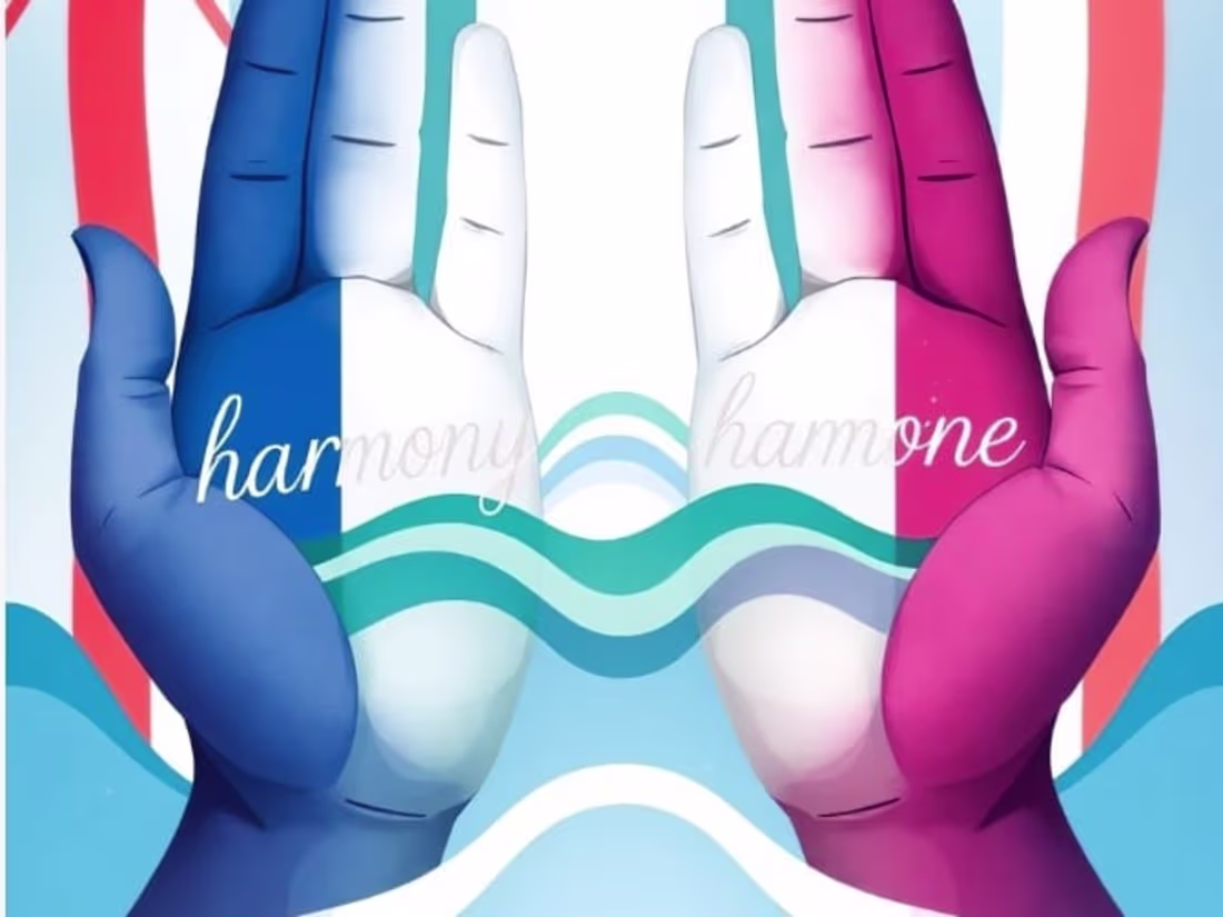 Cover image for English to French