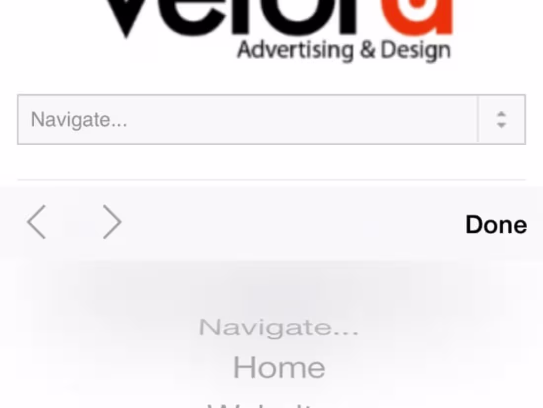 Cover image for The vetora