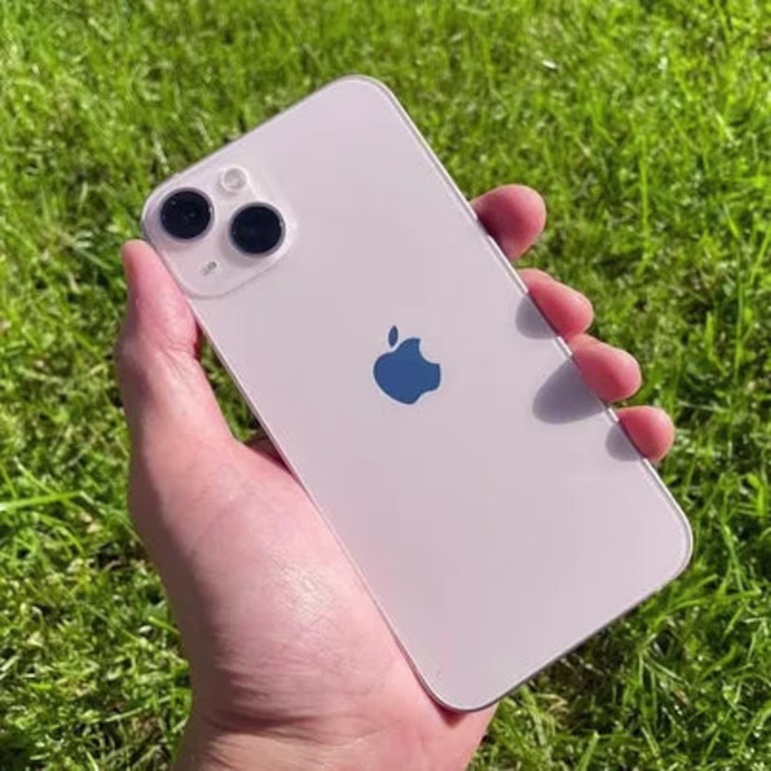 Cover image for Shawlights presents fine Quality at a lower price.