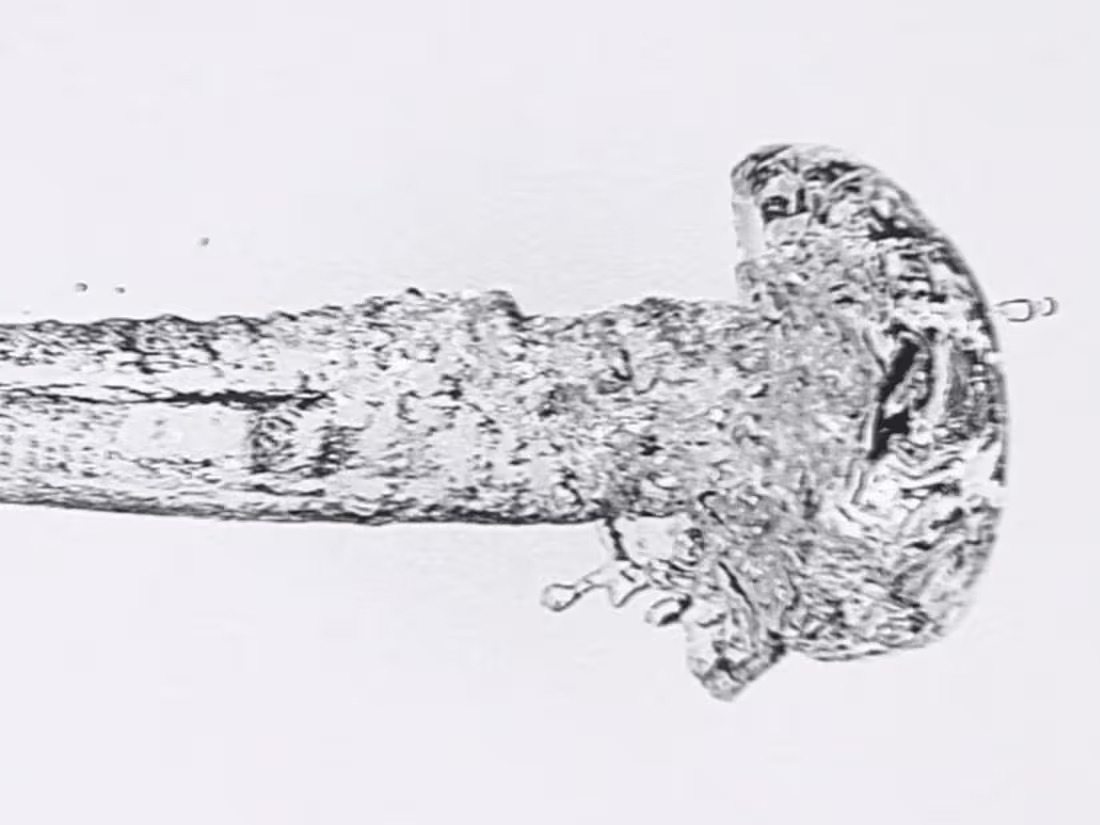 Cover image for Stylized Video Production