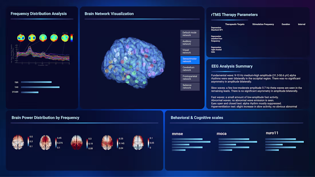 Cover image for TMS Brain Dashboard for National Training