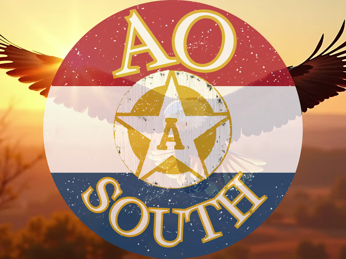 Cover image for AOSouth Website