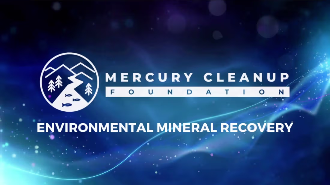 Cover image for Mercury Clean Foundation: Organizational Presentation
