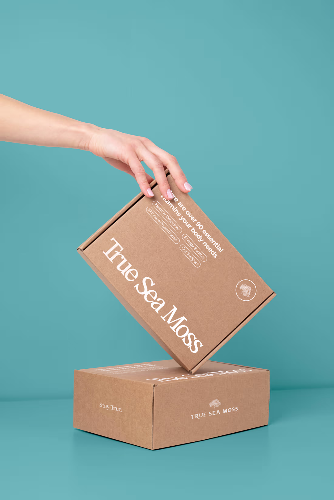 Cover image for Mailer Box Design TSM