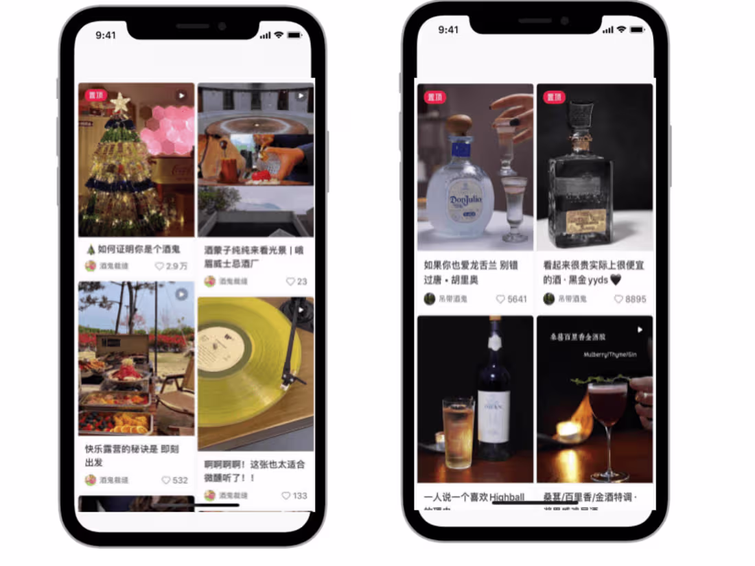 Cover image for Chinese Social Paltform