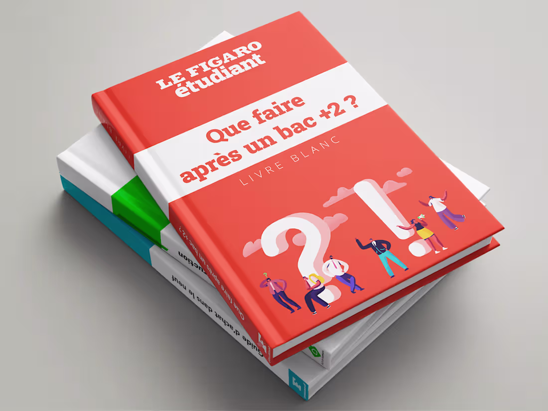 Cover image for White Paper