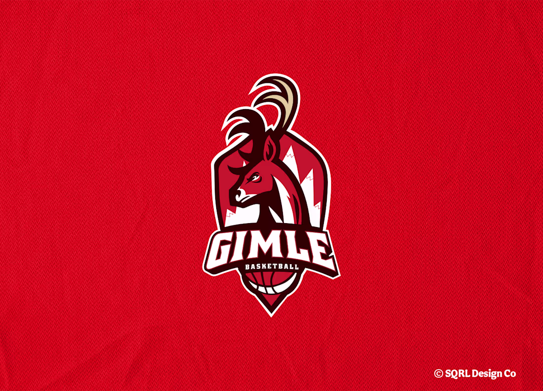 Cover image for Gimle Basketball - Concept