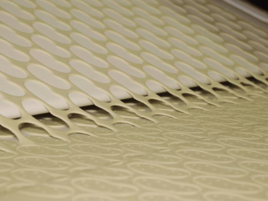 Cover image for Trend Blog Article: Biscuit-Making Machine