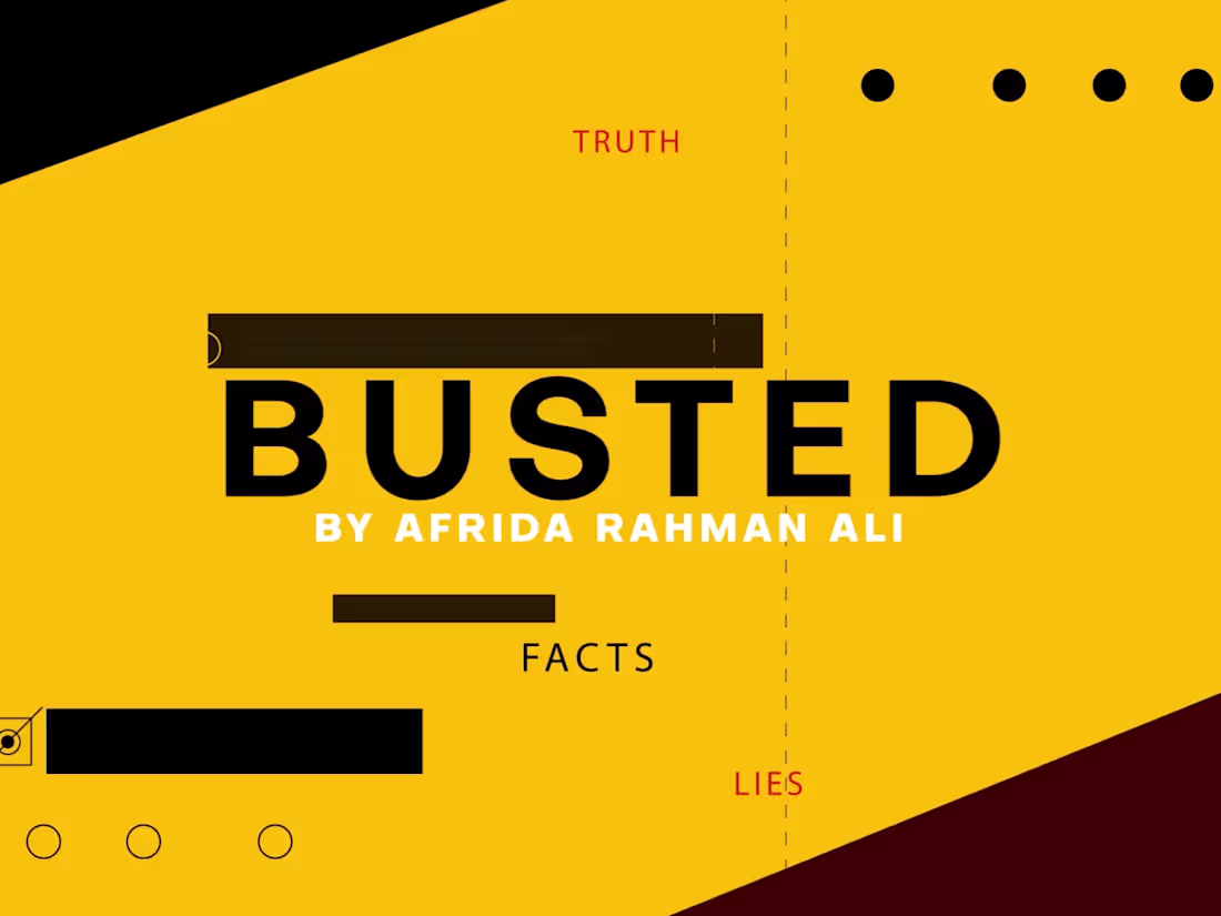 Cover image for BUSTED!