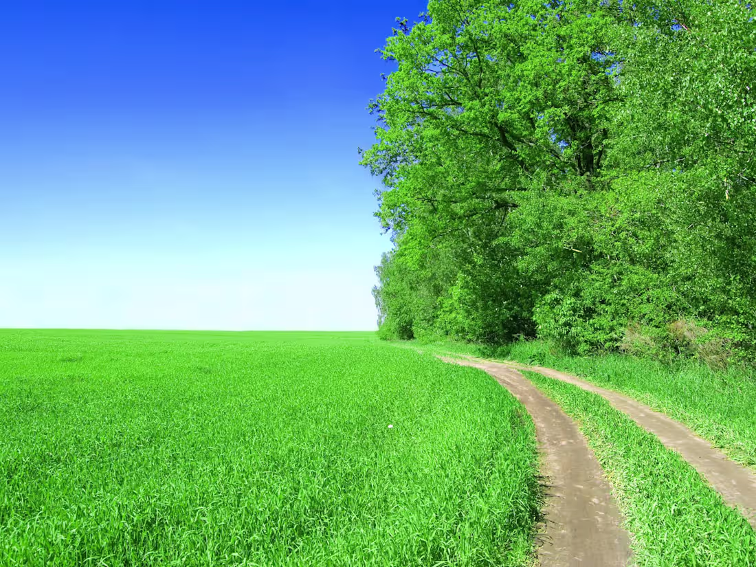 Cover image for customer service support