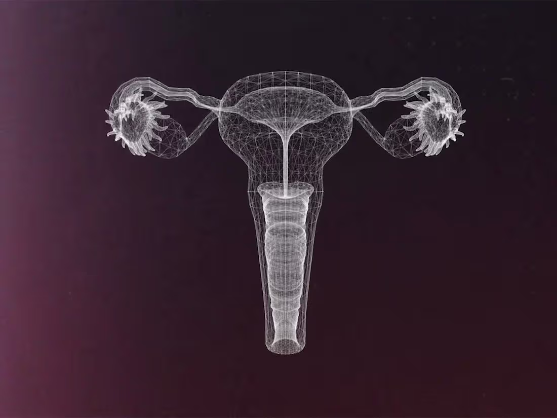 Cover image for Ginny's Cervivor Story 