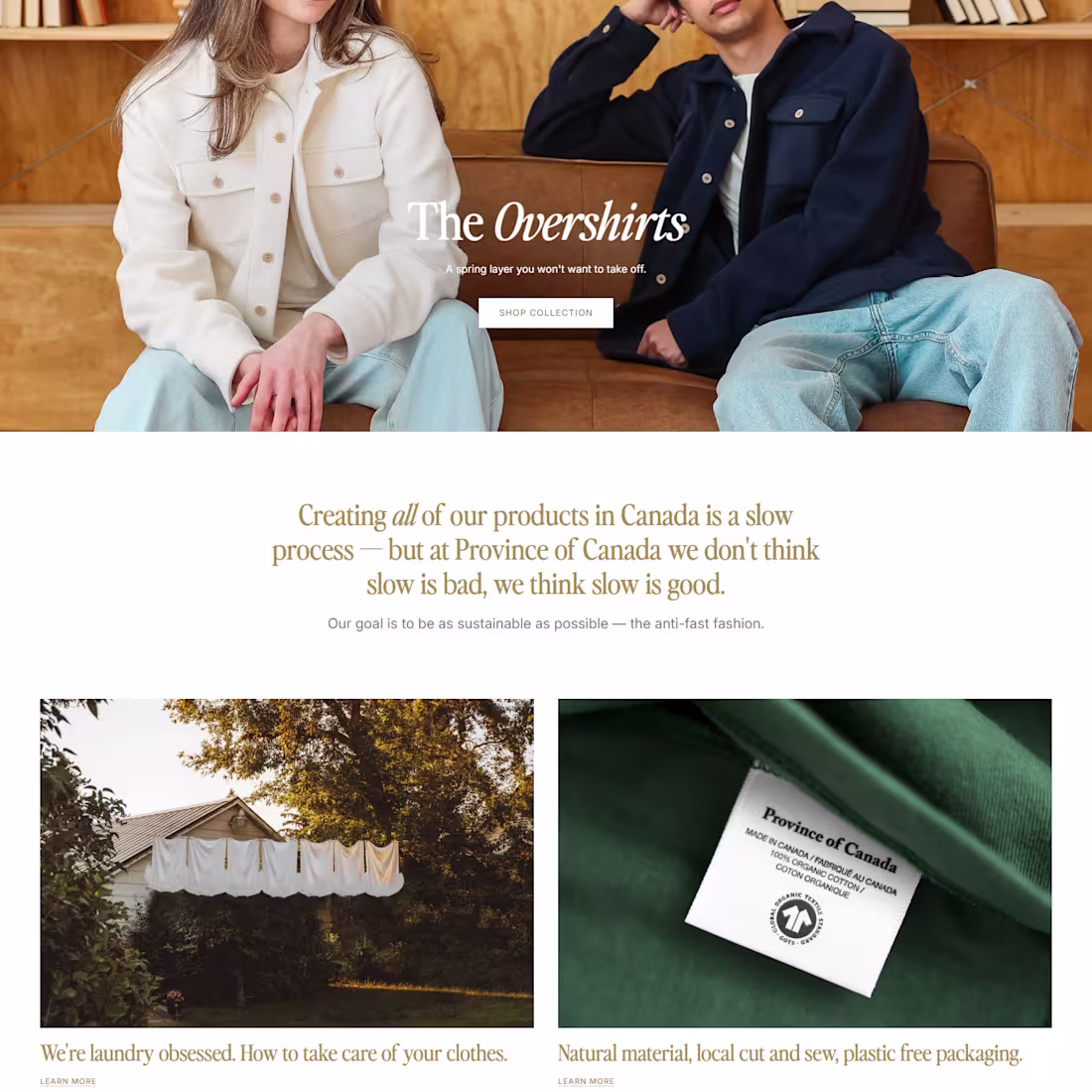 Cover image for Expert Website Design: Building Trust and Clarity with Wix