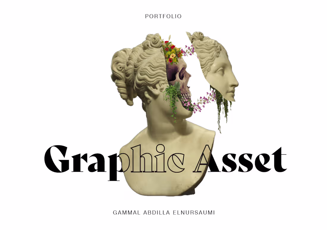 Cover image for Graphic Asset (Previous Work)
