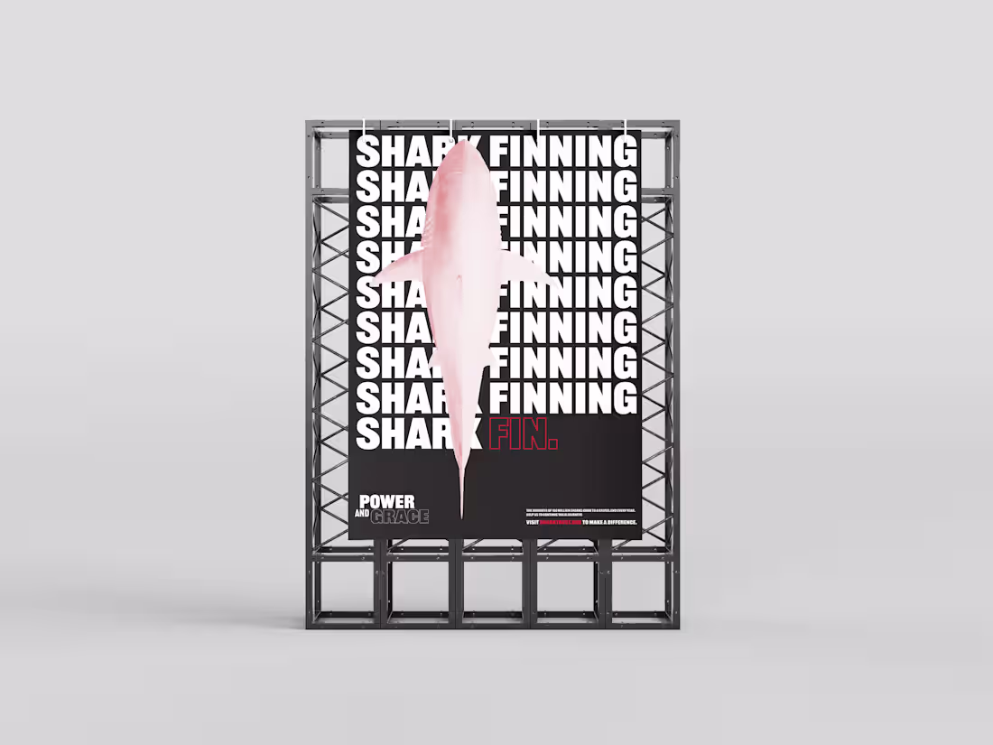 Cover image for Power and Grace