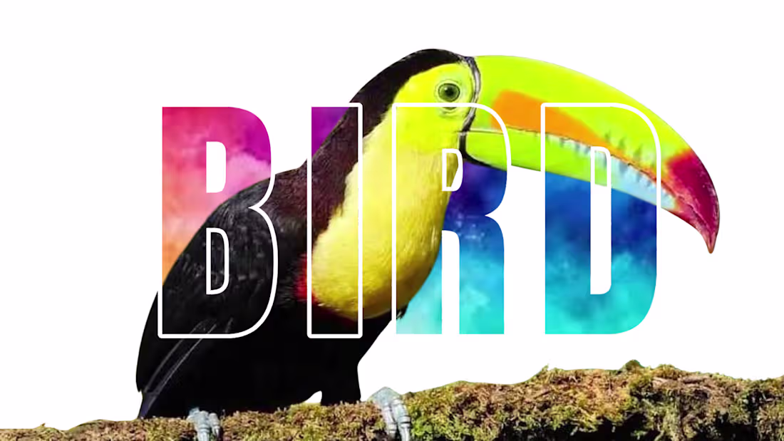 Cover image for Graphic Designer producing Eyecatching and Engaging designs