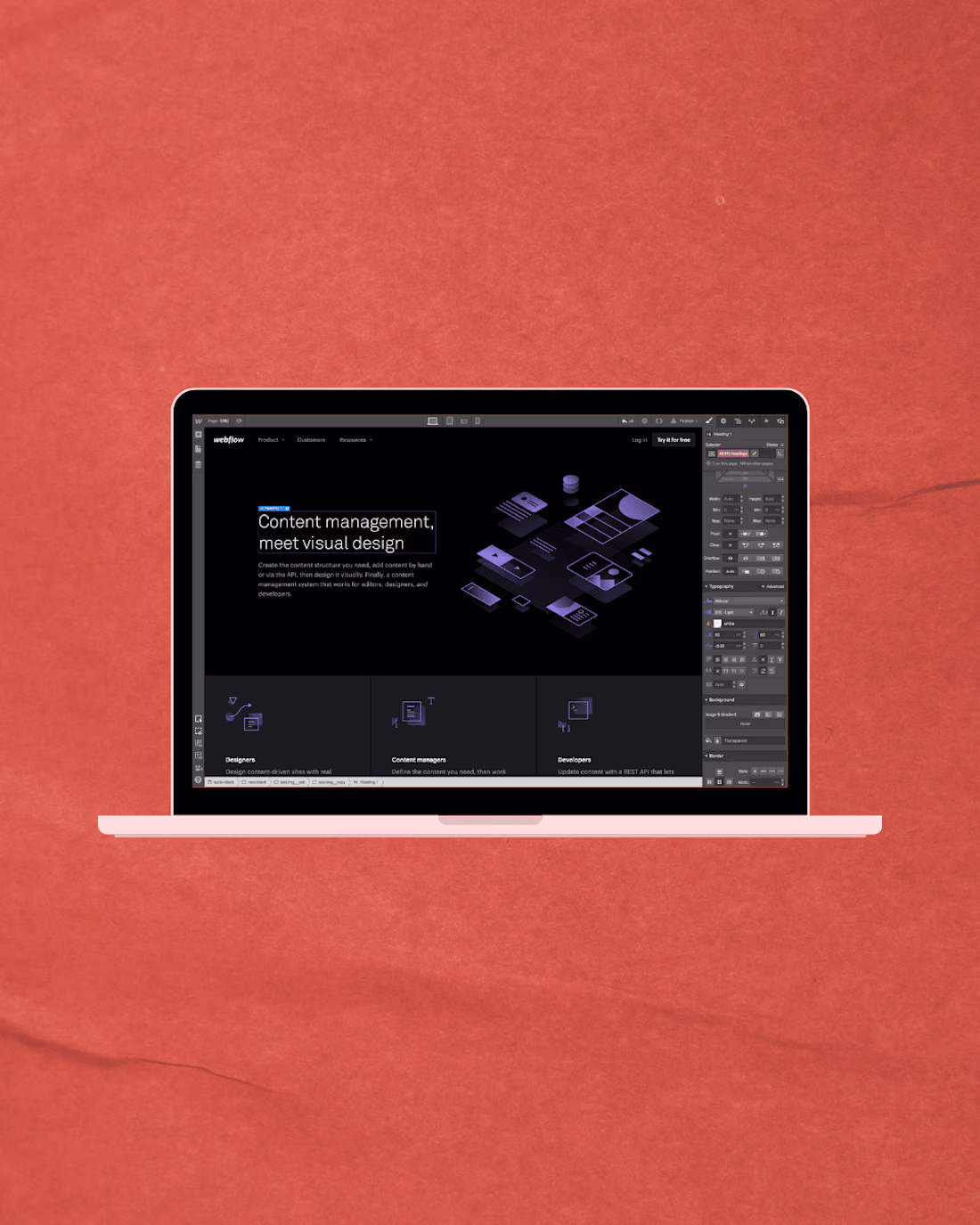 Cover image for Web Development