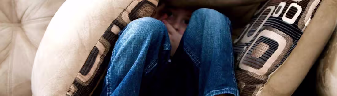 Cover image for Spider Encounter and Human Instincts