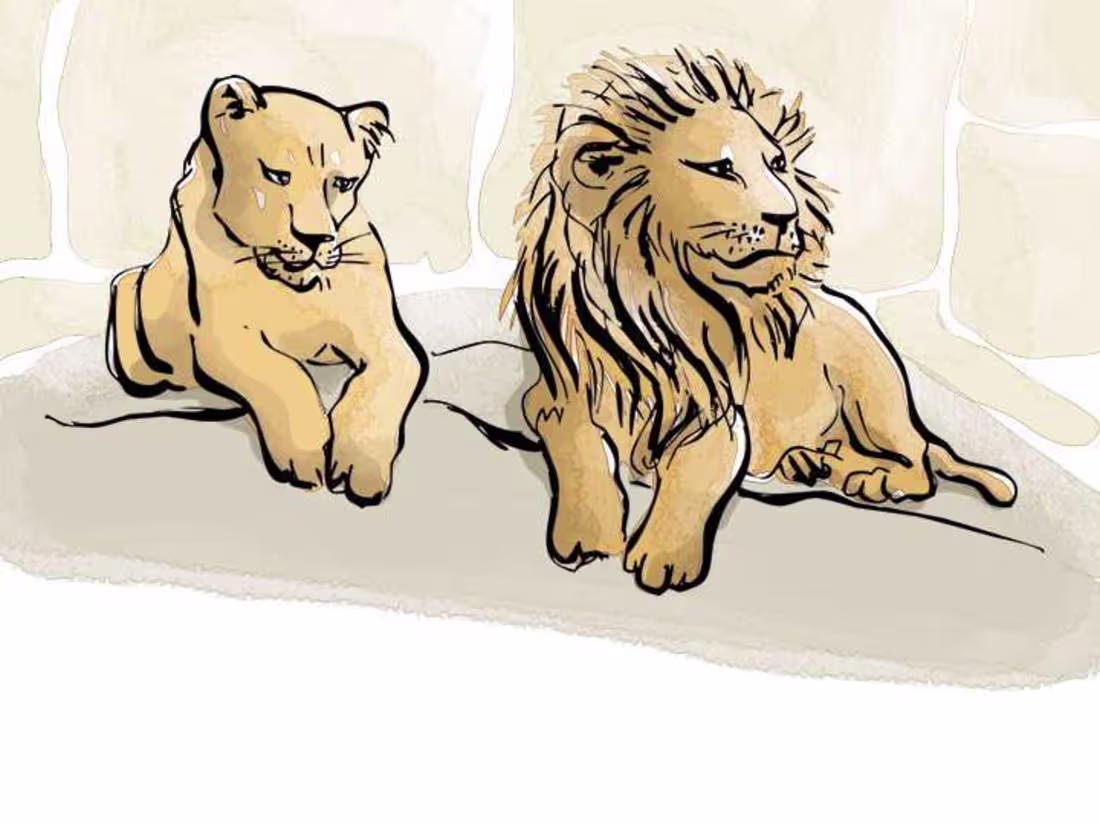 Cover image for Professional Proofreading & Editing Service